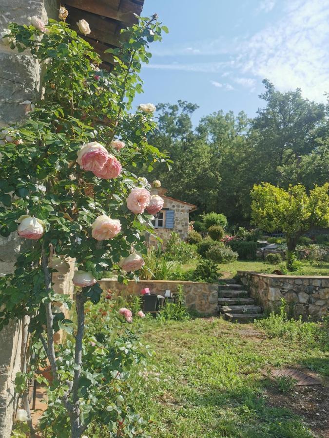 モントルー Domaine Geodora, Parfumeur En Provenceヴィラ エクステリア 写真