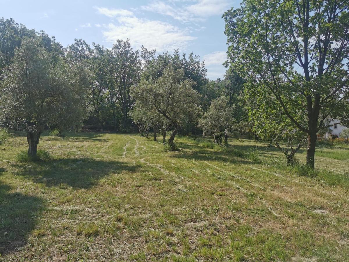 モントルー Domaine Geodora, Parfumeur En Provenceヴィラ エクステリア 写真