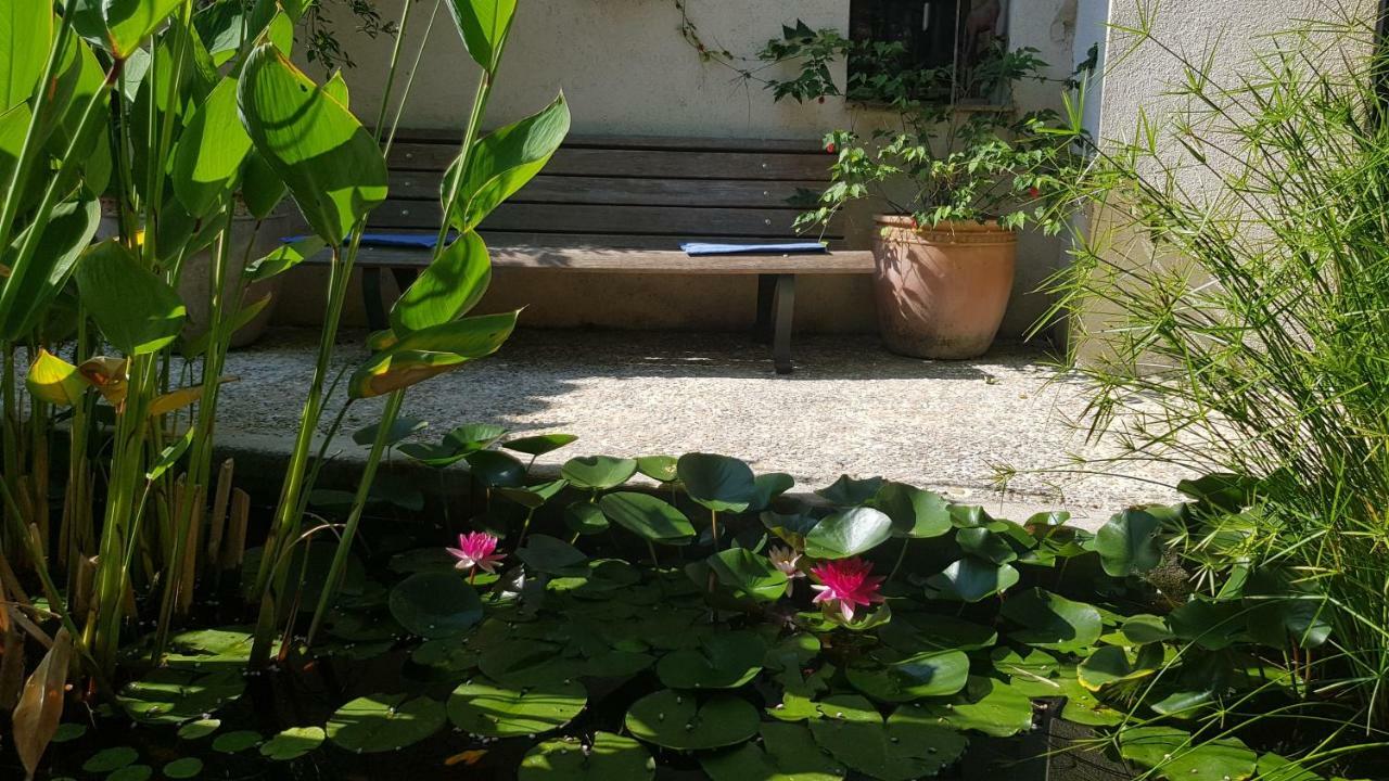 モントルー Domaine Geodora, Parfumeur En Provenceヴィラ エクステリア 写真